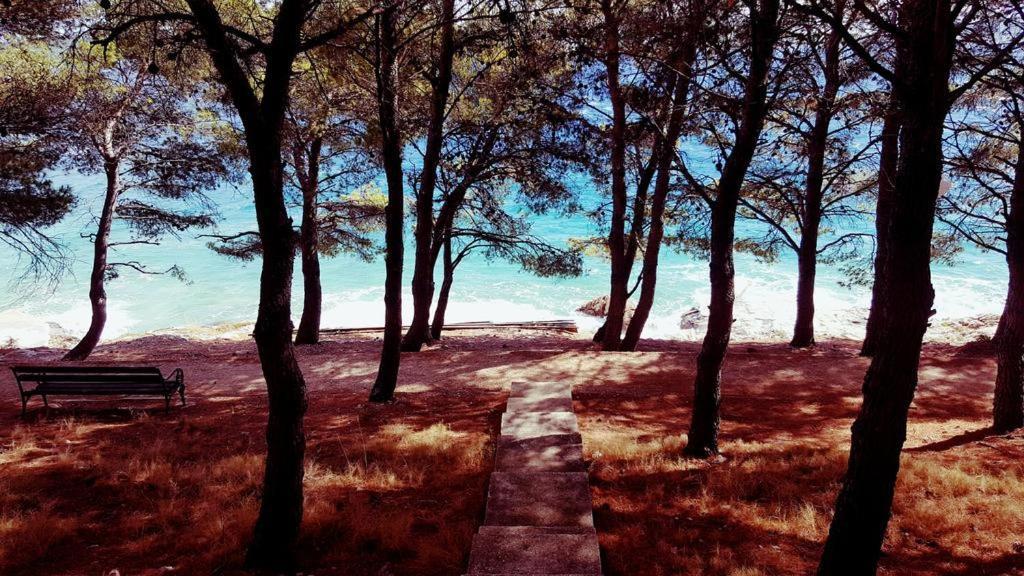 La Mer Drage Εξωτερικό φωτογραφία